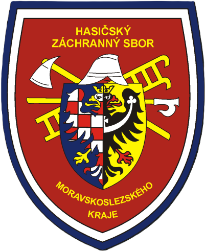 HZS MSK